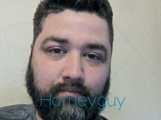 Horneyguy