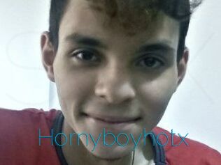 Hornyboyhotx
