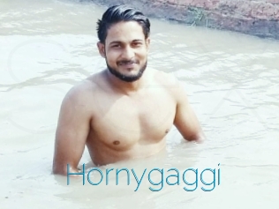 Hornygaggi