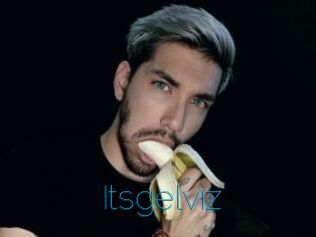 Itsgelviz