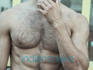 Indiansnake