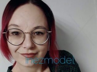 Inezmodel