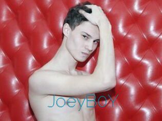 JoeyB0Y