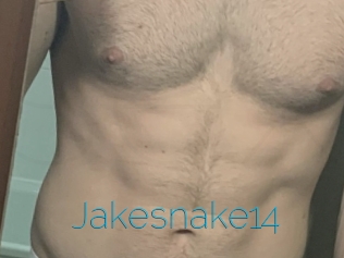 Jakesnake14