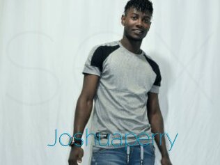 Joshuaperry