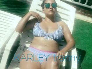 KARLEY_tranny