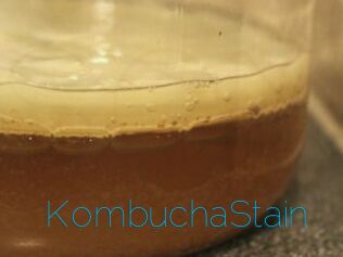 KombuchaStain