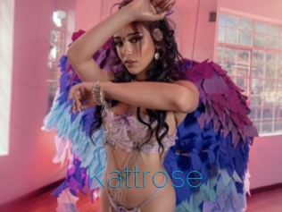 Kattrose