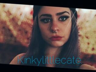 Kinkylittlecate