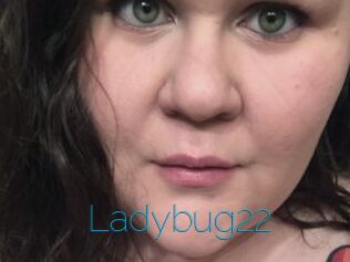 Ladybug22