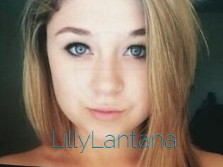 LillyLantana