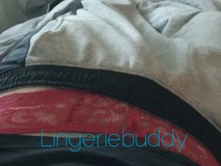 Lingeriebuddy