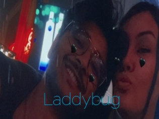 Laddybug