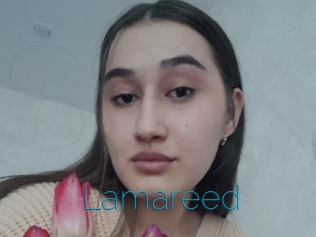 Lamareed