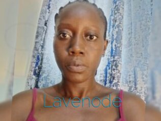 Lavenode