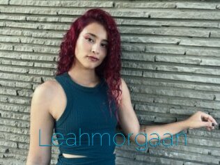 Leahmorgaan