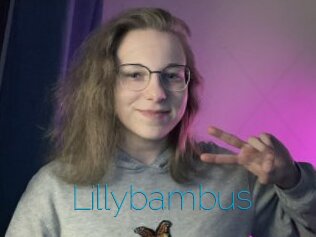 Lillybambus