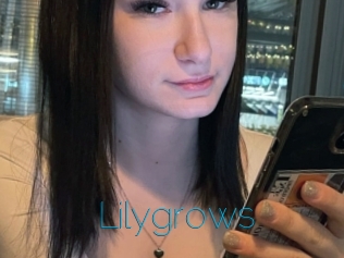 Lilygrows
