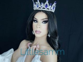 Littlesamm