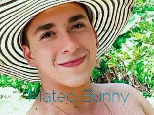 Mateo_Bunny