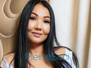 MeinaSani