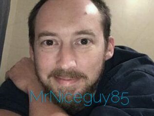 MrNiceguy85