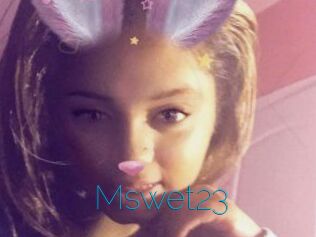 Mswet23