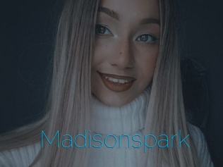 Madisonspark