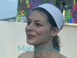 Malvinesley