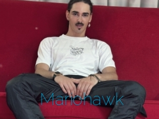 Mariohawk