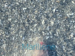 Marlllene