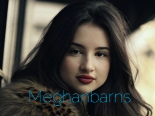 Meghanbarns