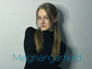 Meghangarfield