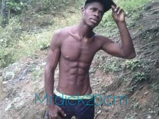 Mrdick20cm