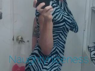 Naughtyniceness