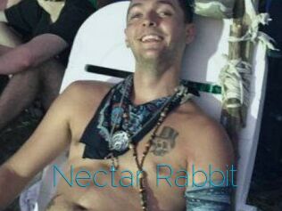 Nectar_Rabbit