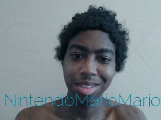 NintendoMarioMario