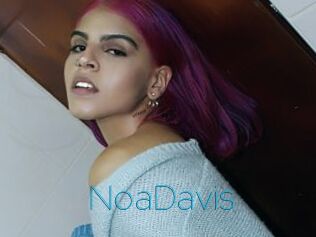 NoaDavis