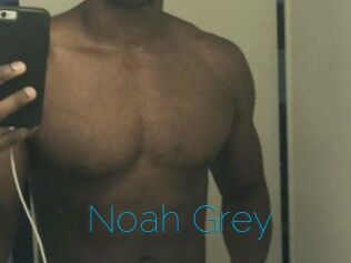 Noah_Grey