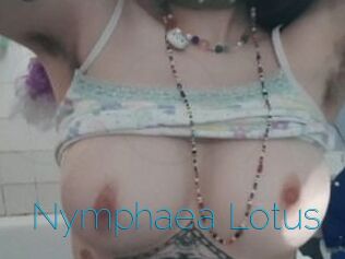 Nymphaea_Lotus