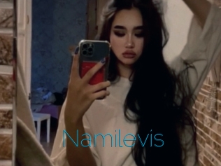 Namilevis