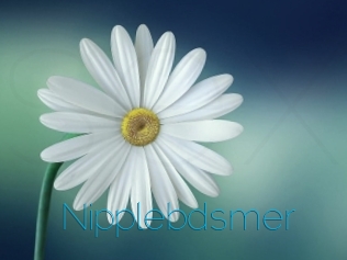 Nipplebdsmer
