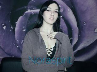 Noraspirit