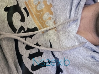 Ns2exib