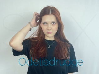 Odeliadrudge