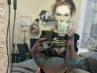Overnightfaun