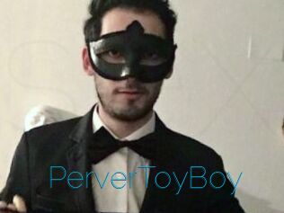 PerverToyBoy