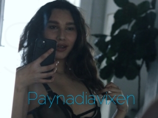 Paynadiavixen