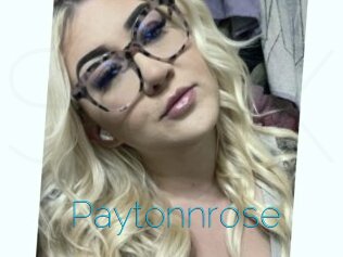 Paytonnrose