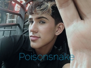 Poisonsnake